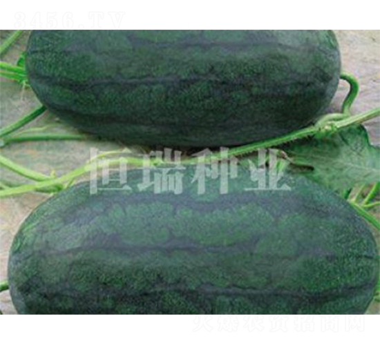 ���������-���ϷN��-����N�I(y��)