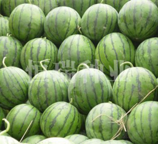 ���һ̖-���ϷN��-����N�I(y��)