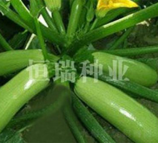 �GԪ��-�����J�N��-����N�I(y��)