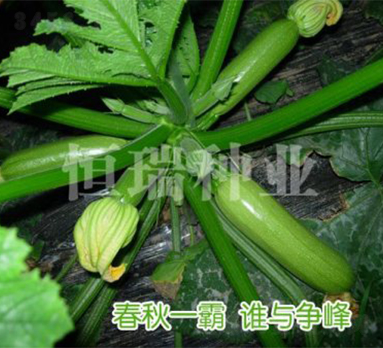 ��˹���_-�����J�N��-����N�I(y��)