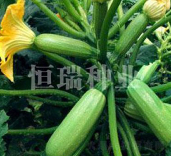 ѩ��I-�����J�N��-����N�I(y��)