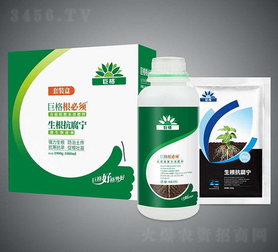 ����������-�����-�޸�����