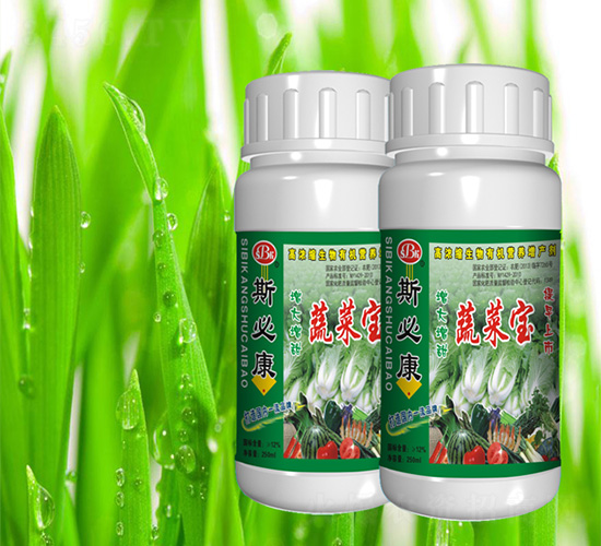 �߲ˌ�-˹�ؿ�