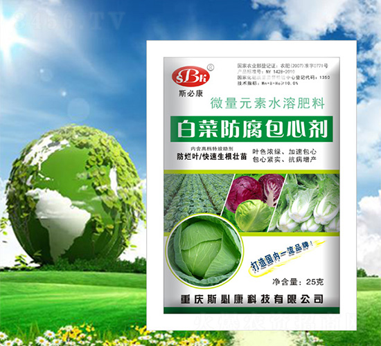 �ײ˷������Ą�-˹�ؿ�