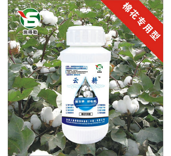 �޻������~���-ʩ����-�Ƹ��r�I(y��)