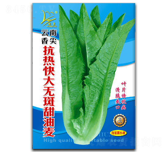 �������-�����˷N��-�}�ʷN�I(y��)