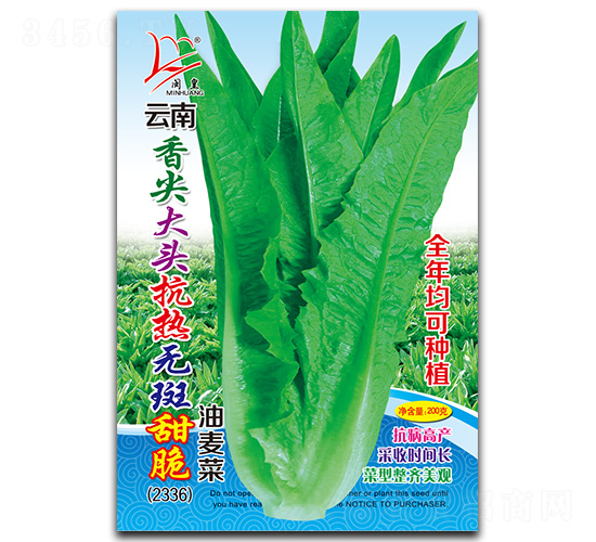 �����^����o(w��)�����������-�����˷N��-�}�ʷN�I(y��)