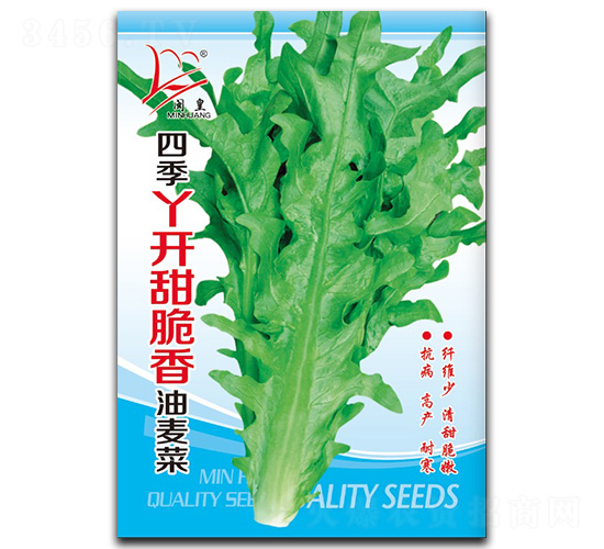 �ļ�Ѿ�_(k��i)�����������-�����˷N��-�}�ʷN�I(y��)