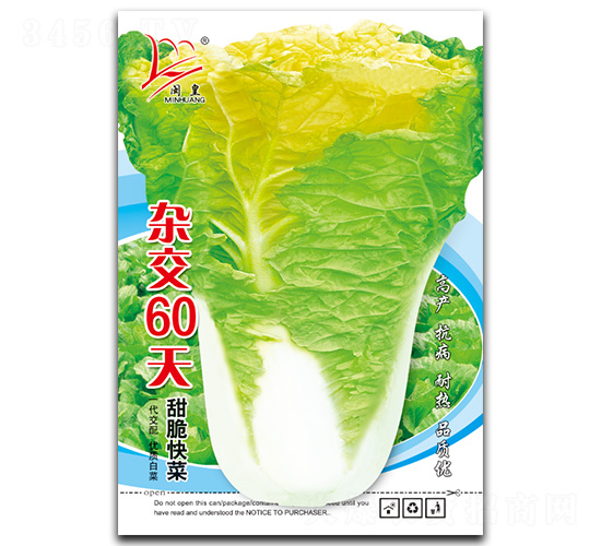 �s��60��-��˷N��-�}�ʷN�I(y��)