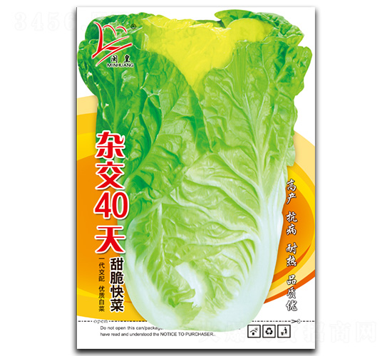 �s��40��-��˷N��-�}�ʷN�I(y��)