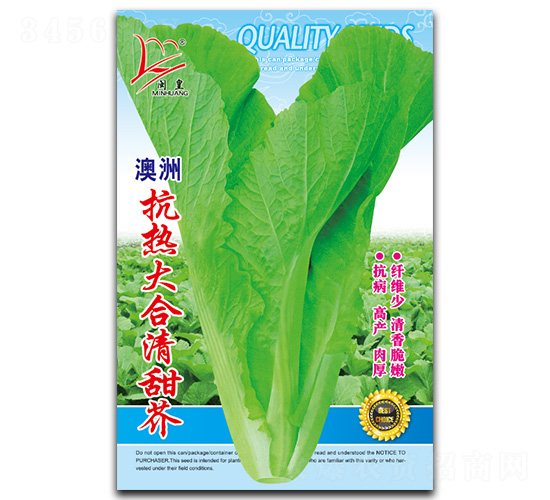 �����������-��˷N��-�}�ʷN�I(y��)