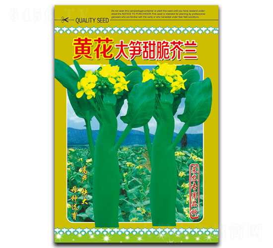 �S����S�����m-���m�N��-�}�ʷN�I(y��)