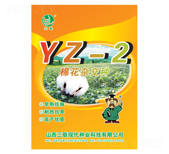 �޻��s���NYZ-2-��(li��n)