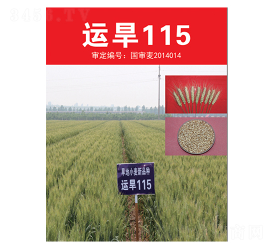 �\(y��n)��115-С���N��-��(li��n)