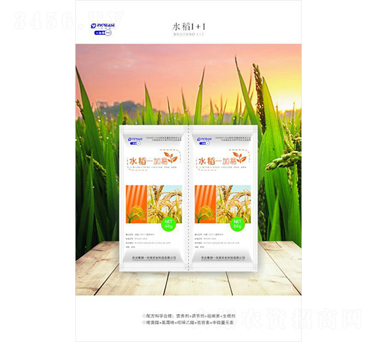 ˮ��1+1-һ����