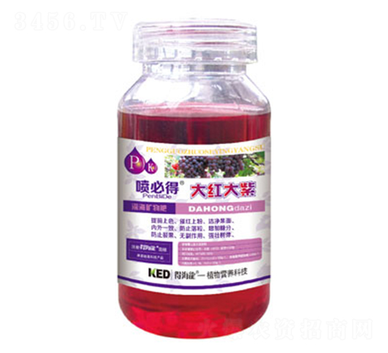 ��t����-���ص�-������