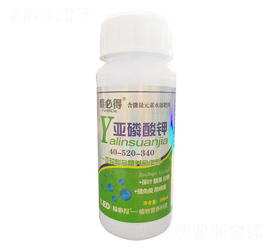 �������-���ص�-������