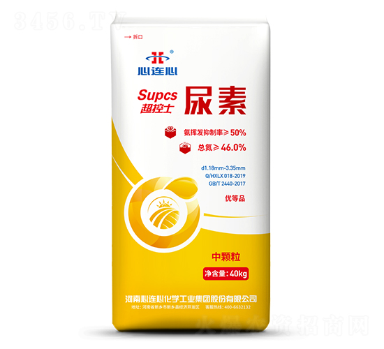 ����ʿ����-���B��