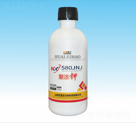 �۝��-���ٌ�����