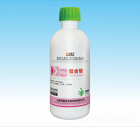 �����f-���ٌ�����