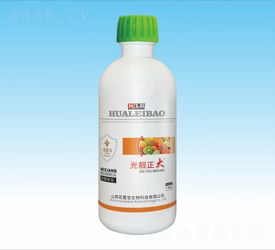 ���n����-���ٌ�����