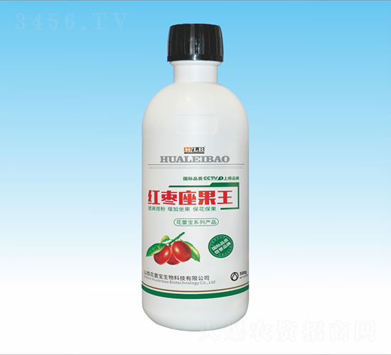 �t��������-���ٌ�����