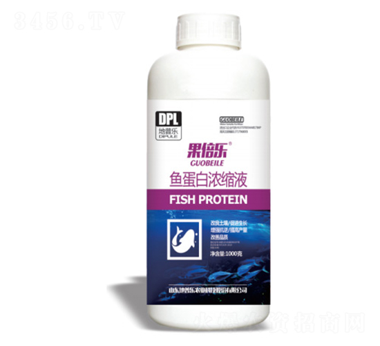 �~���ם�sҺ-������-���՘�