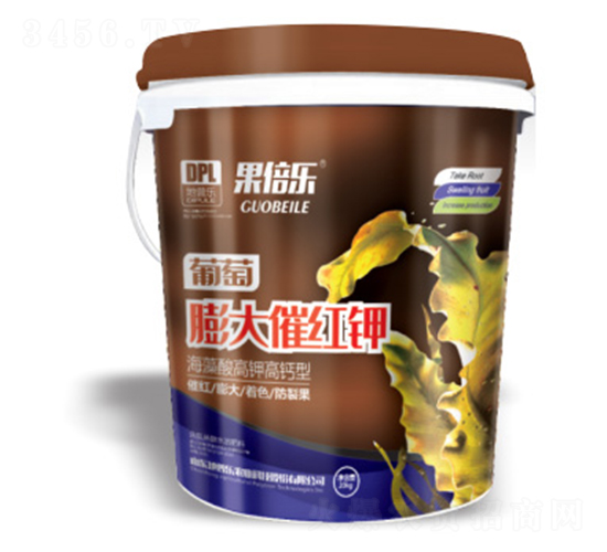 �������߼t�-������-���՘�