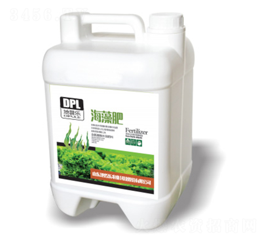 �����-������-���՘�