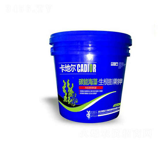 ̼�ܺ��塤��������-���ؠ�-���՘�