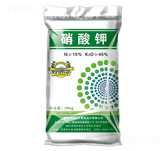 �����-��Ȫ����