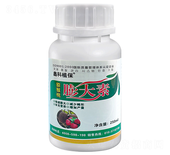 �����-�ο�ֲ��