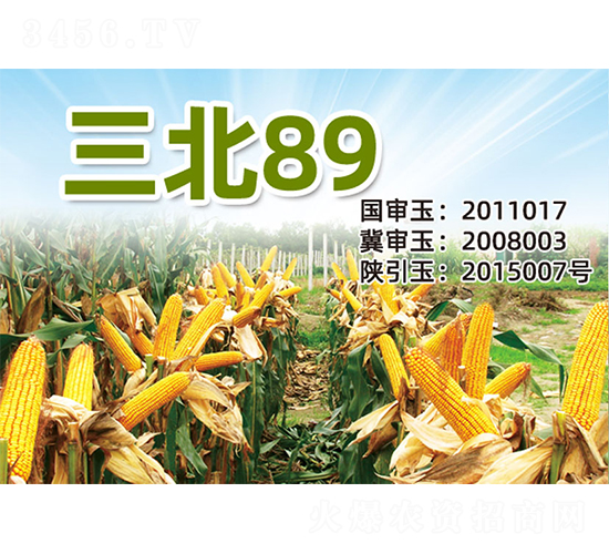 ����89-���׷N��-�����N�I(y��)