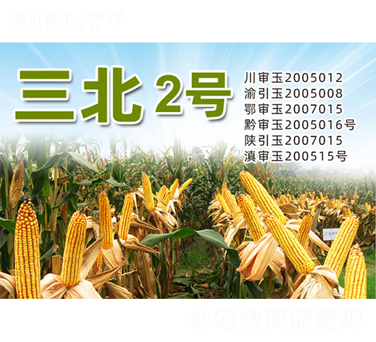 ����2̖(h��o)-���׷N��-�����N�I(y��)