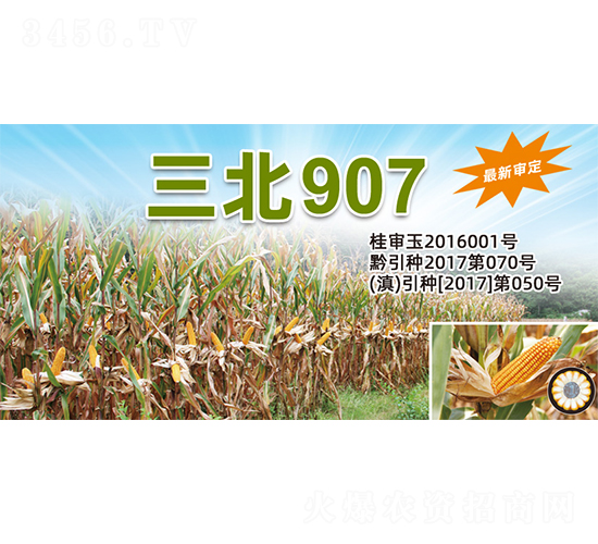 ����907-���׷N��-�����N�I(y��)