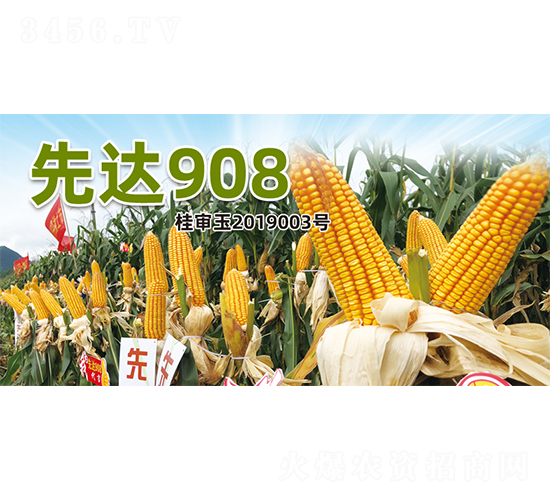 ���_908-���׷N��-�����N�I(y��)