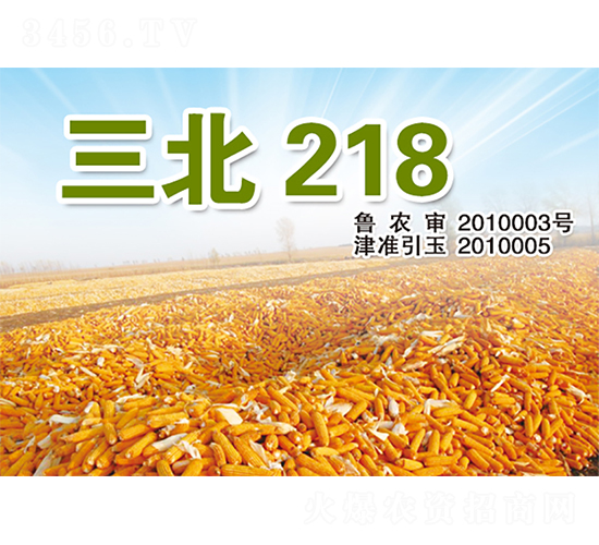 ����218-���׷N��-�����N�I(y��)