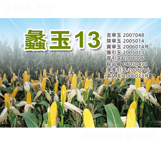 ���13-���׷N��-�����N�I(y��)