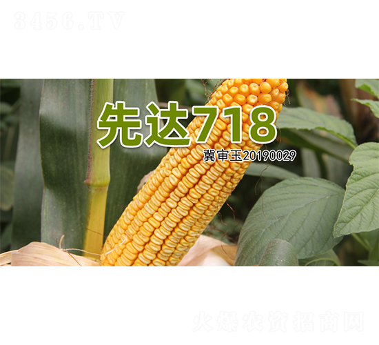 ���_(d��)718-���׷N��-�����N�I(y��)