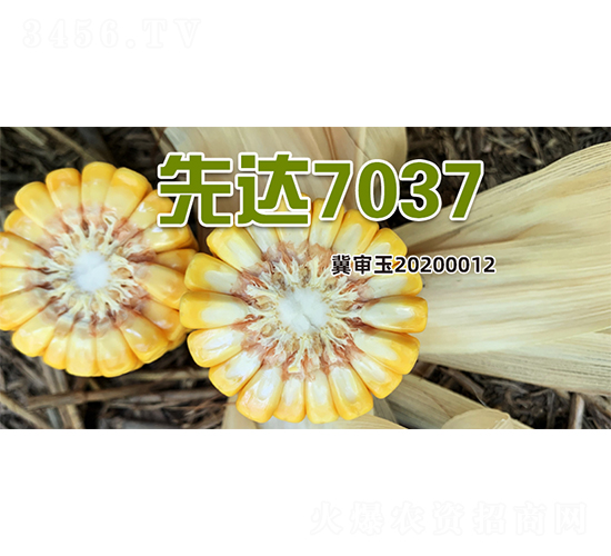 ���_(d��)7037-���׷N��-�����N�I(y��)