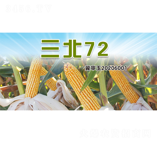 ����72-���׷N��-�����N�I(y��)