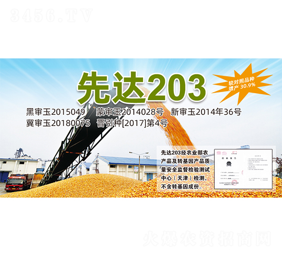 ���_(d��)203-���׷N��-�����N�I(y��)