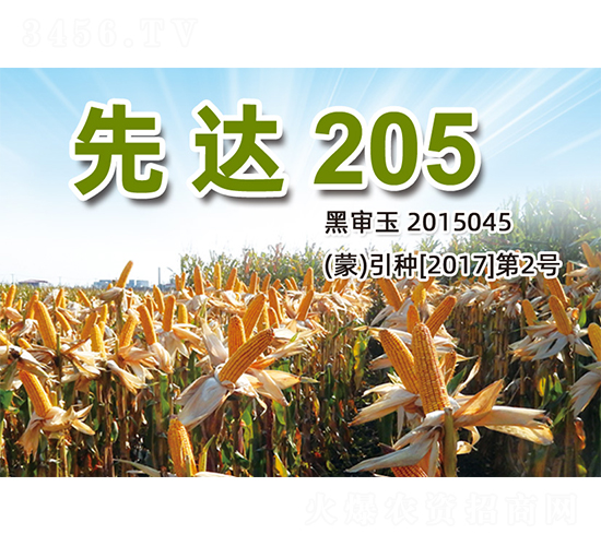 ���_(d��)205-���׷N��-�����N�I(y��)