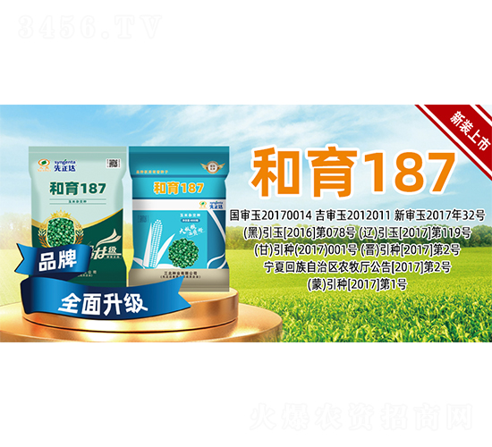 ����187-���׷N��-�����N�I(y��)