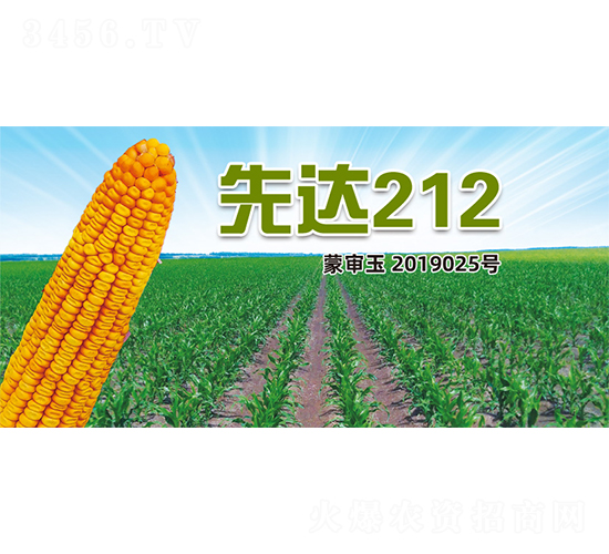 ���_212-���׷N��-�����N�I(y��)