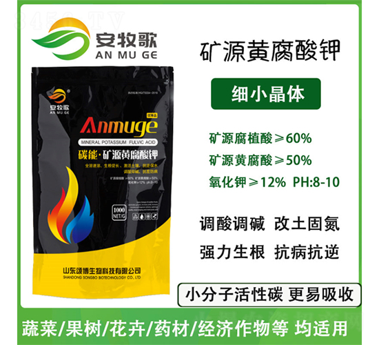 �VԴ�S�����-������-ힲ�����