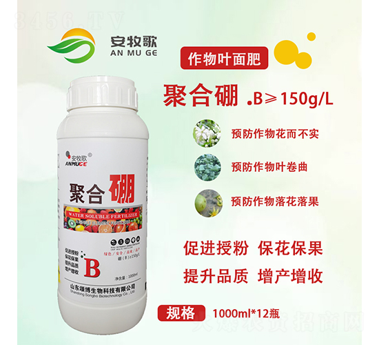 �ۺ����~���-������