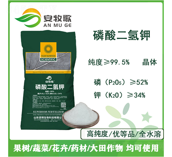 ��������-������-ힲ�����