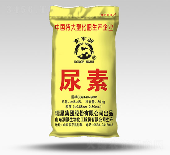 50kg����-�|ƽ��-����