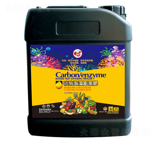 ̼ø���������-ɽ�|�������